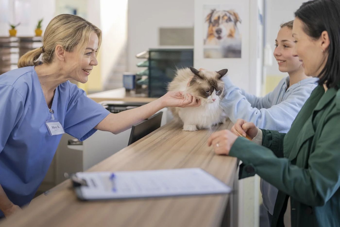 A veterinarian talking with a client at the front desk