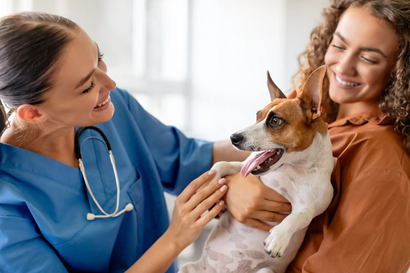 A veterinarian examining a happy dog with its owner
